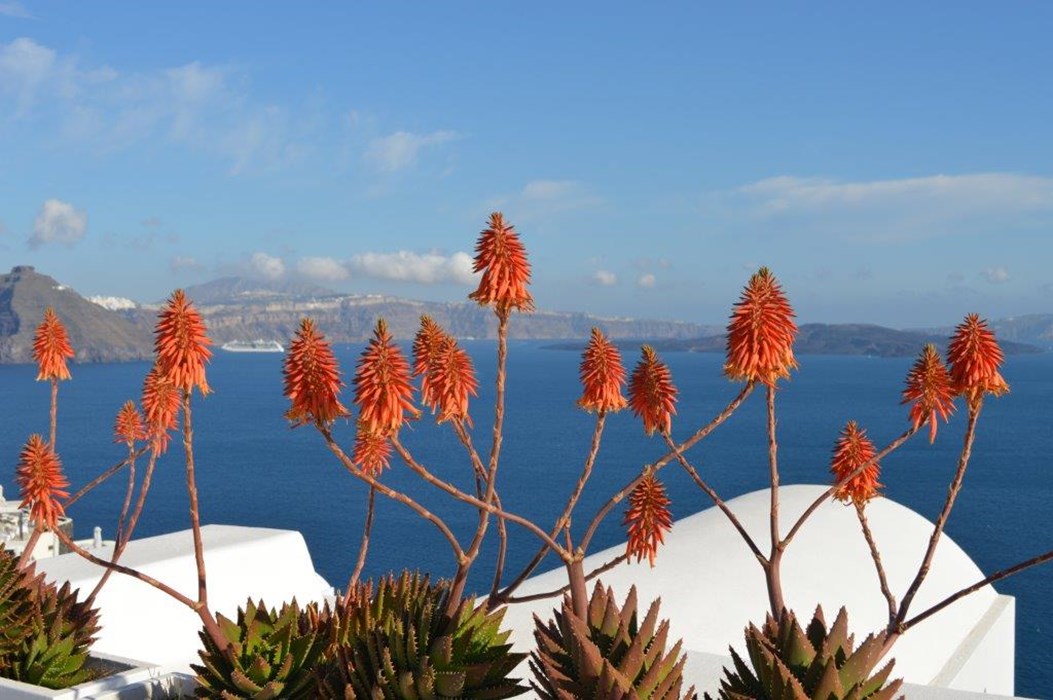 Conquer the island’s unknown hinterland
