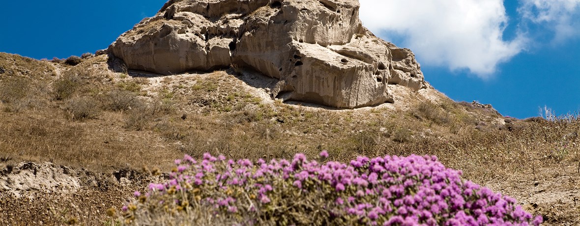 Οι τέσσερις εποχές της Σαντορίνης